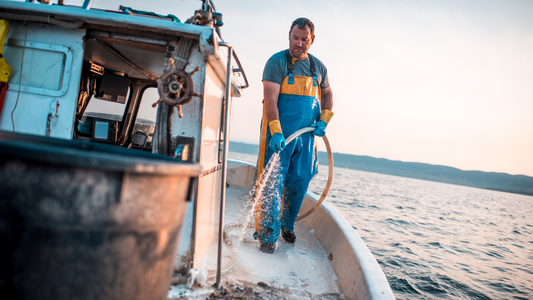 Save time, money and diesel with these boat maintenance tips.